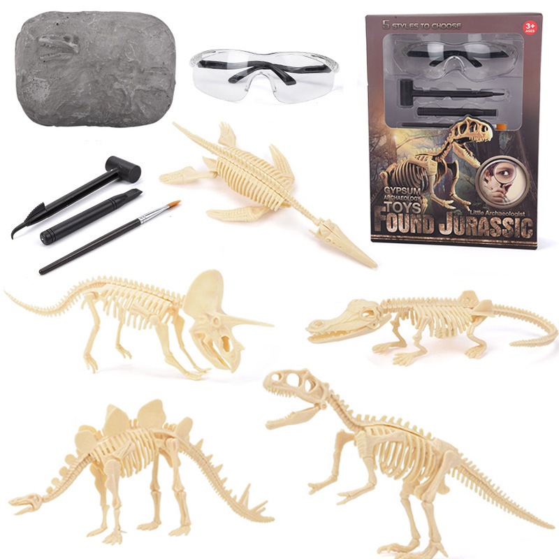 Science Toys - Kit de Escavação de Fósseis de