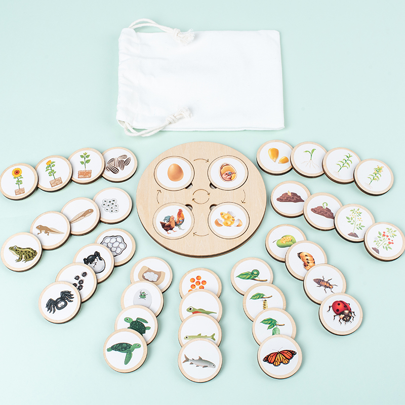 Science Nature - Placa de ciclo de vida montessori