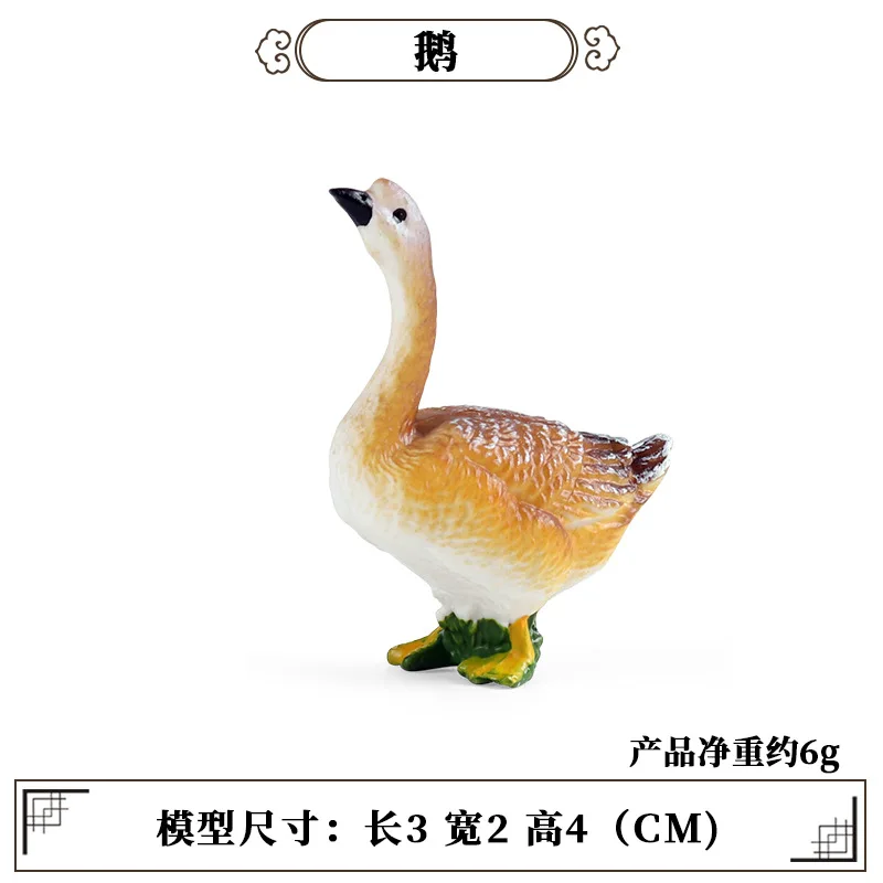 Science Toys - Educação ferramenta de ensino aves animal