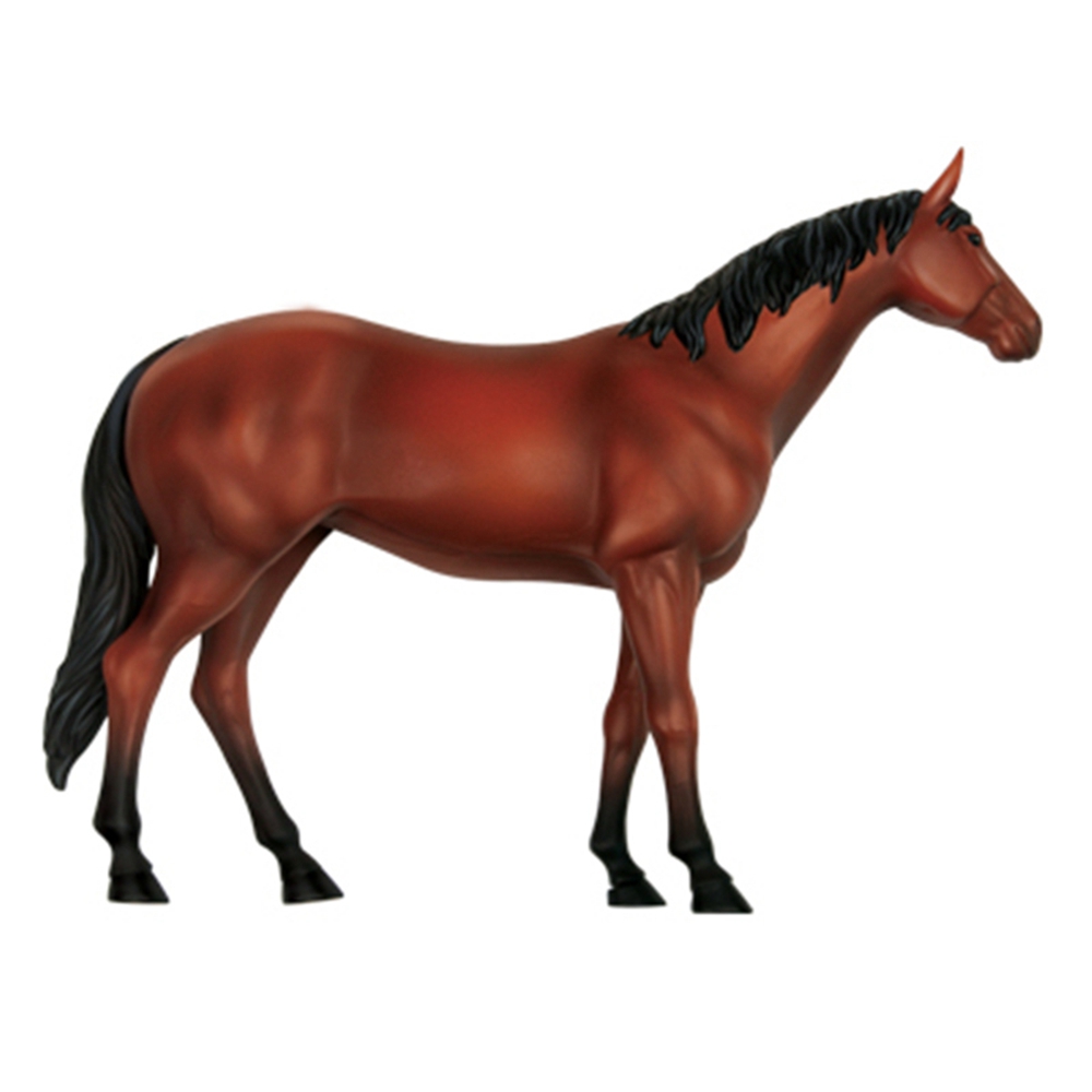 Modelo de anatomia de órgão an - Science Toys avaliação e preço