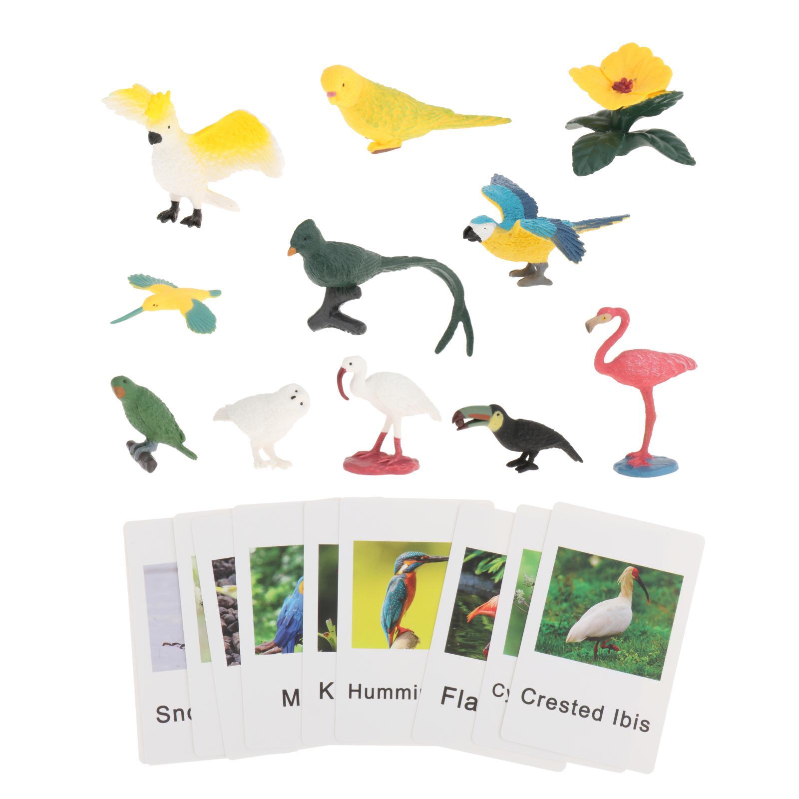 Figuras de Animais Montessori  - Science Nature avaliação e preço