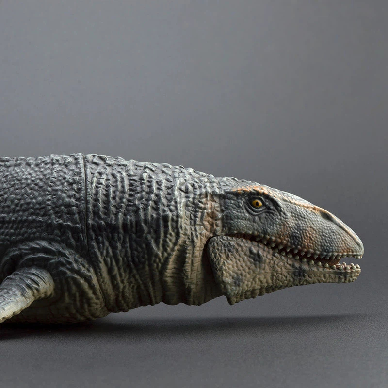 PROG Grande Figura de Brinqued - Science Toys avaliação e preço