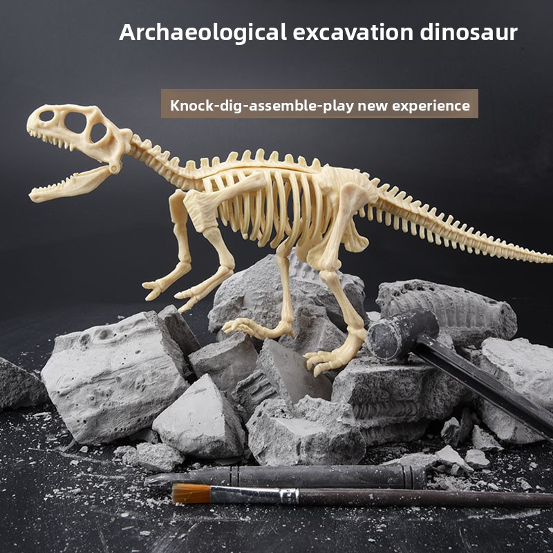 Kit de Escavação de Fósseis de - Science Toys avaliação e preço