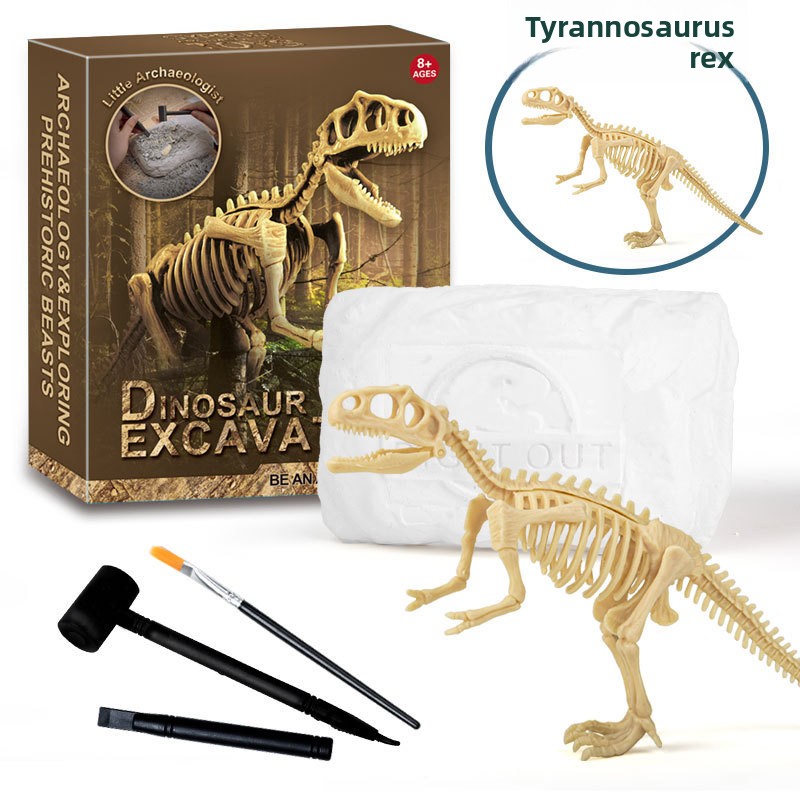 Kit de Escavação de Fósseis de - Science Toys avaliação e preço